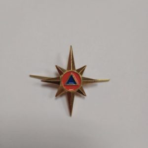Эмблема МЧС нового образца Эмблема