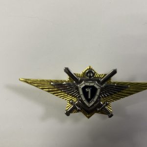 Классность ВС России-1 класс,нов.образца Классность ВС России